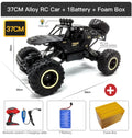 BIG Buggy Off-road Controle Remoto 1/12 e 1/16